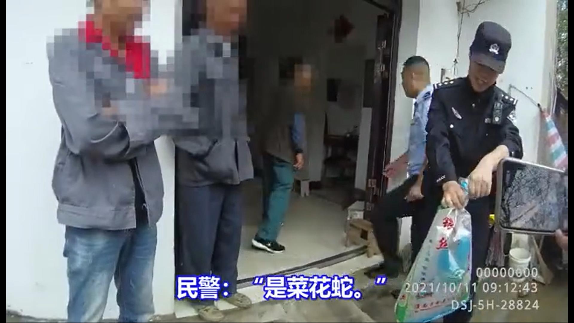 蛇吃老鼠被打死,大蛇掉进老鼠窝里被活活咬死