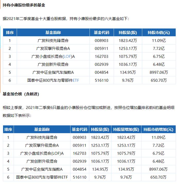 新能源福祉乘用车,新能源车中的佼佼者