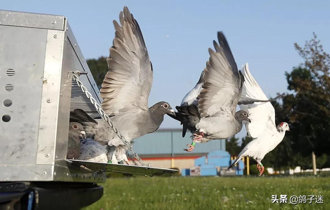 缁忛獙浜掗壌,缁忛獙姝ｄ氦鍑芥暟