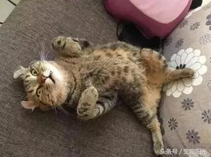 寒冰and烈火,寒冰和烈焰对决