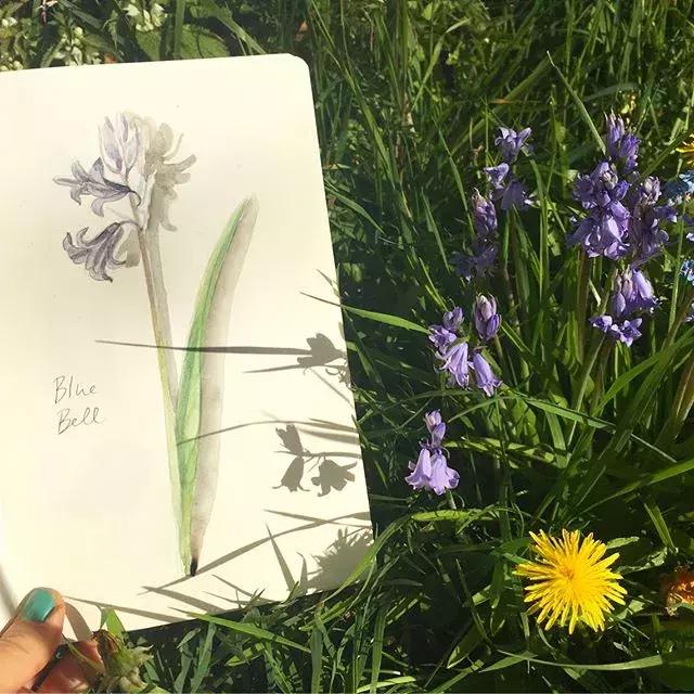 如何用手账本做一篇漂亮的手账,青春专属手帐