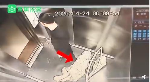 外卖龙虾段子搞笑,外卖的虾是不是都是冻虾