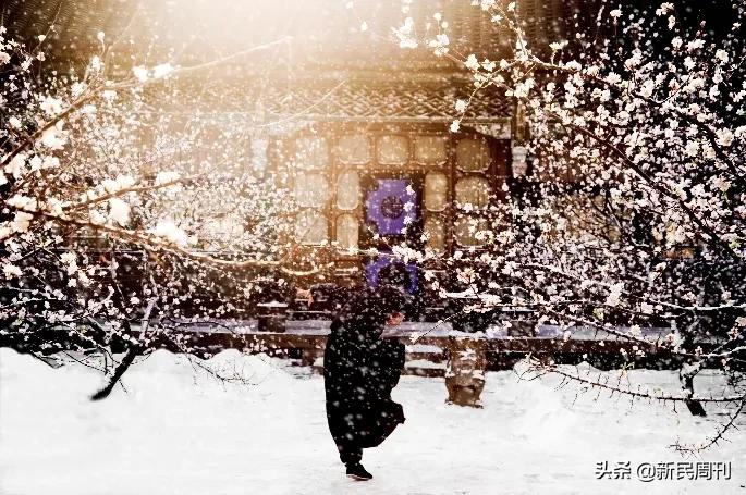 寻物|王家卫电影里的恋物癖