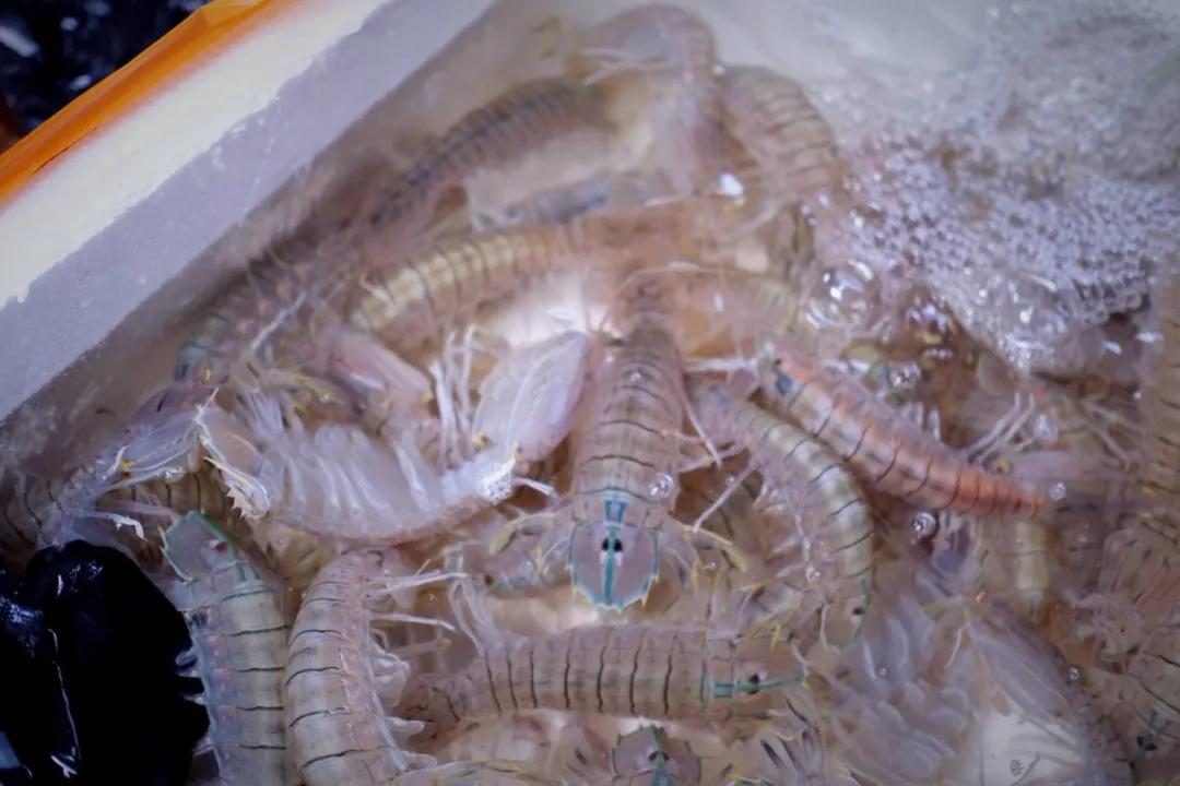 海南最大的渔港码头,在海南岛最霸气的渔港码头