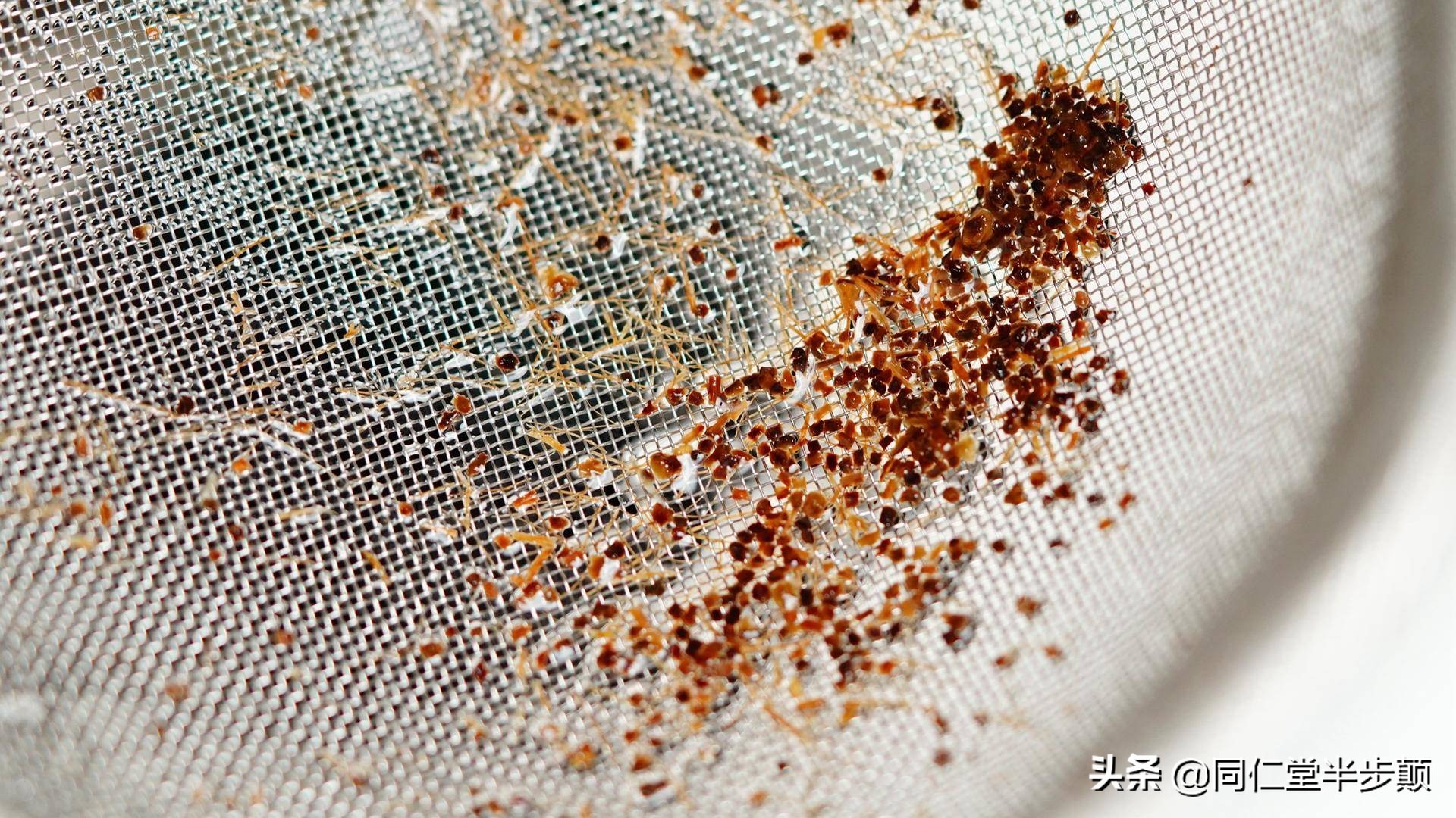 料理机都能做什么好吃的,常见的料理机主要有哪几个功能