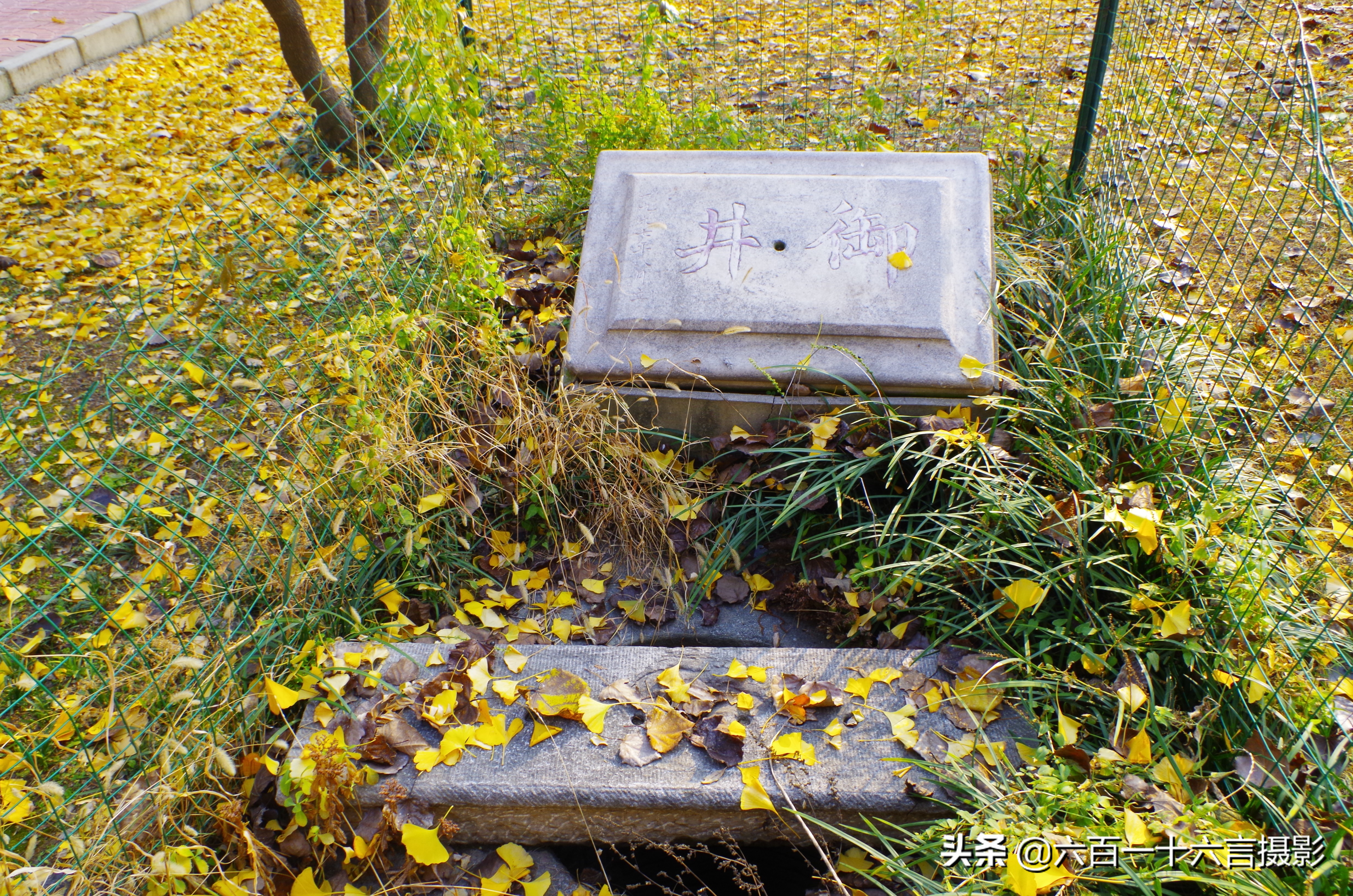 这里是正定04：传说中的御井长这样