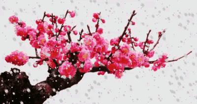 鼠年最佳20副春联,鼠年最佳10副春联