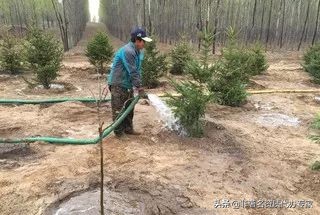 园林栽培与养护,园林树木养护管理修剪方式