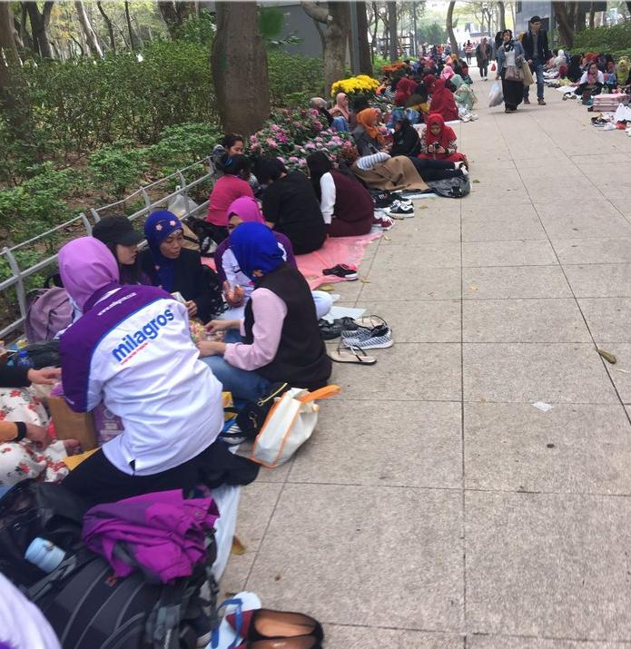 团队自驾游南澳岛旅游攻略,自驾广州长隆3天2夜亲子游攻略