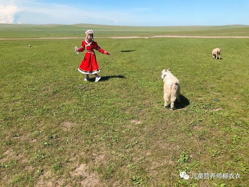 暑假内蒙古旅游攻略亲子,暑假亲子游玩内蒙古5天4夜