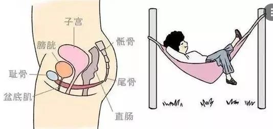 突然官宣怀孕,突然宣布怀二胎