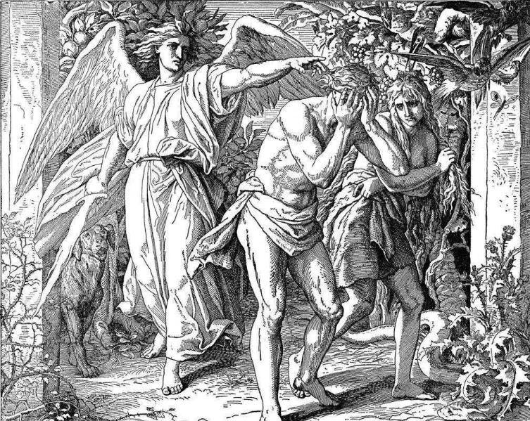 人都是女人生的,在人类出现之前,第一个女人是哪里来的?