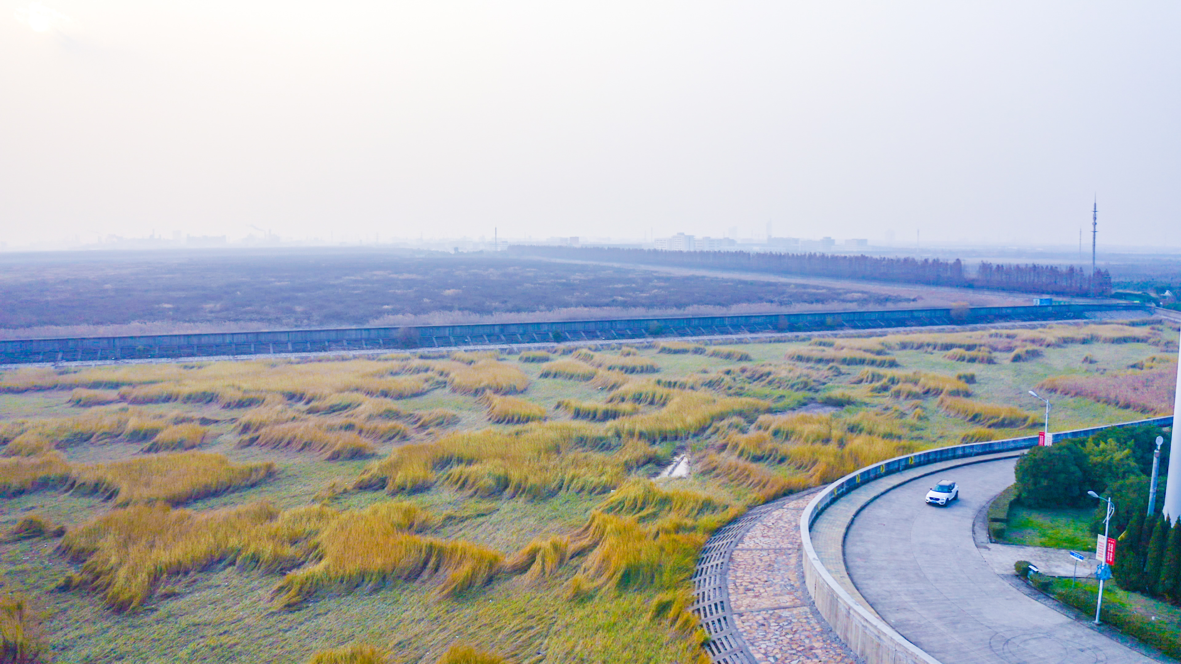 上海周边赶海一日游攻略,上海周边好玩的海边赶海在哪里