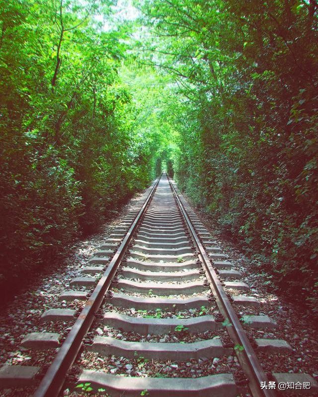 合肥三河网红景点,合肥十大网红景点