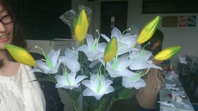 百合花枝不开花怎么回事,百合花是在几点开花和几月开花