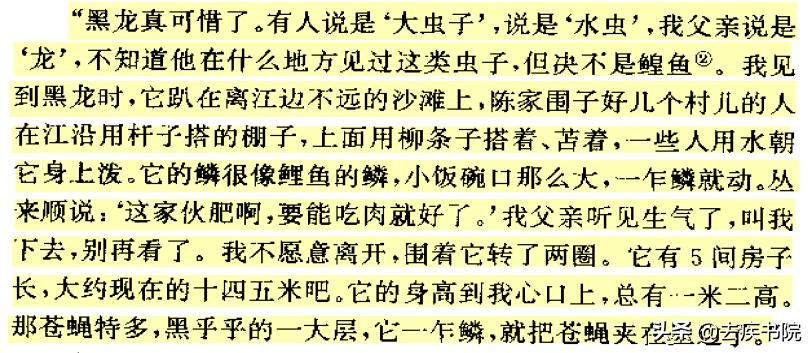 真的有龙吗未解之谜,真的有龙吗怎么回事