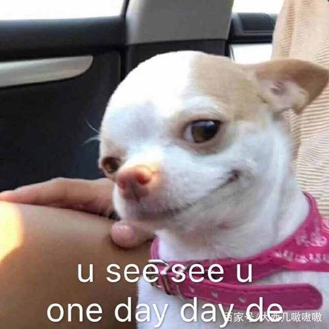 那我怎么办表情包可爱,表情包我怎么发不出去