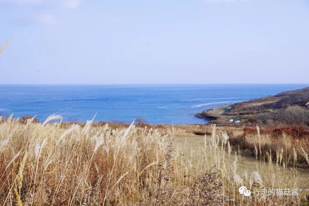 俄罗斯海参崴高端团自由行,俄罗斯海参崴吃喝攻略