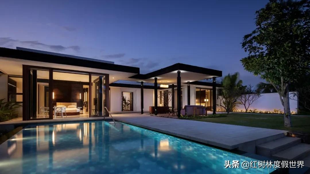 逃离北方的寒冷,逃离北方森林