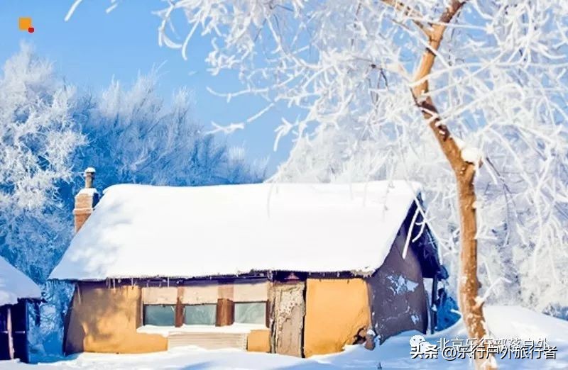 冬天漠河白桦林童话世界完整视频,冰雪大世界长白山雪乡六天五晚