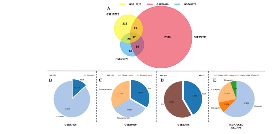 研究一个基因的方法有哪些,如何找到值得研究的基因
