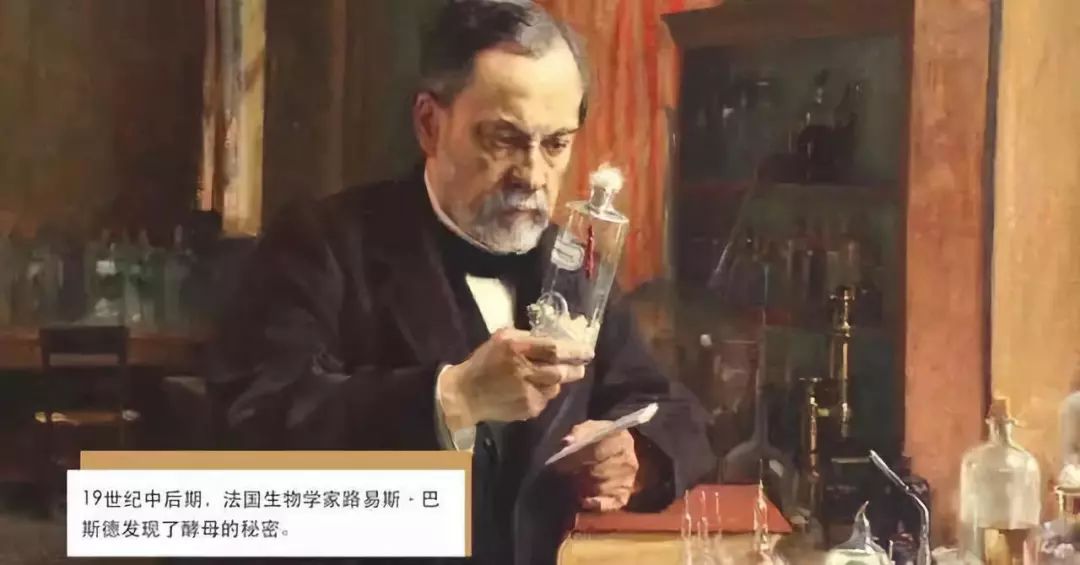 葡萄酒怎么自己酿,葡萄酒怎么酿没有毒