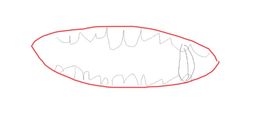 过年嗑瓜子多了好吗,嗑瓜子过年必备