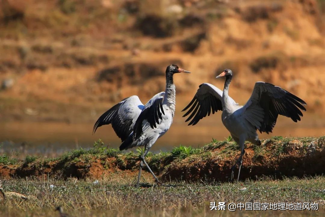 攀枝花不属于四川了吗,为什么说四川攀枝花是土豪城市