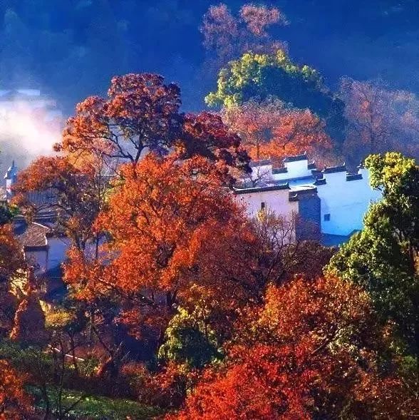 重阳游安徽,这几个登高处,今年美出了新高度