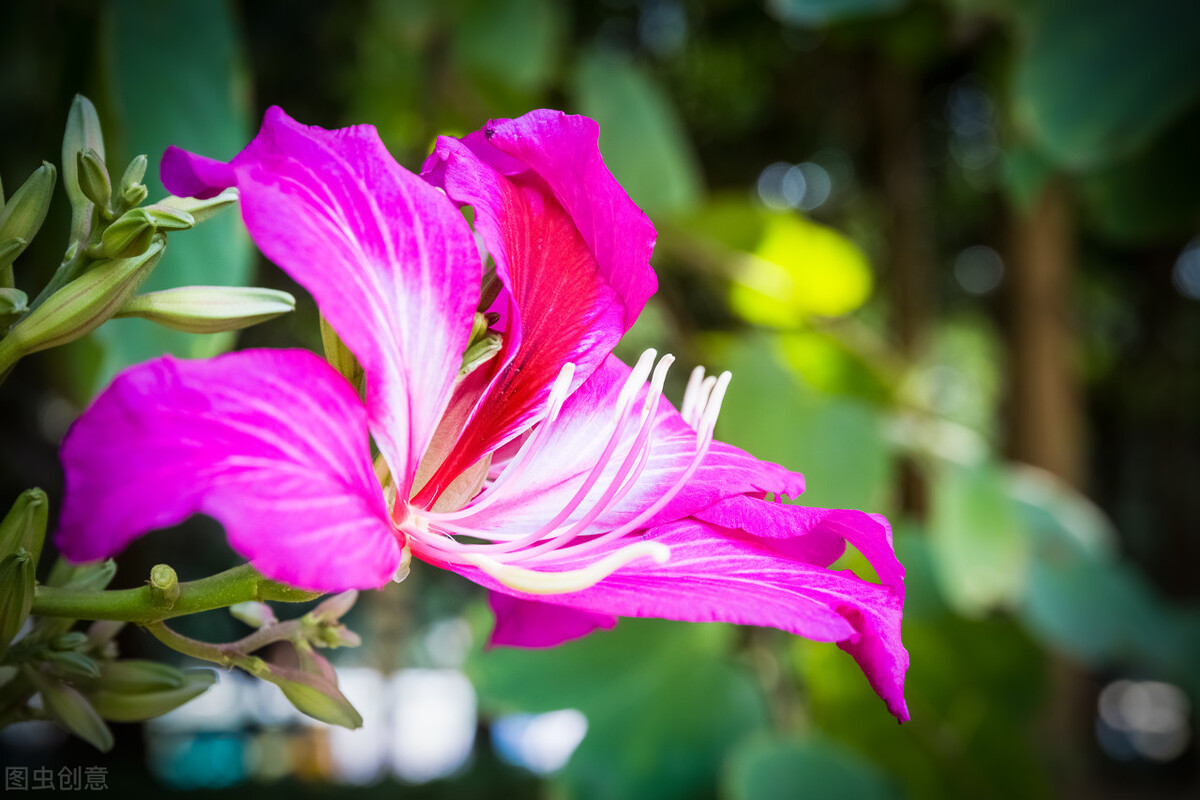 《刀光侠影》45见不平援手助弱者交朋友聚餐白矾楼