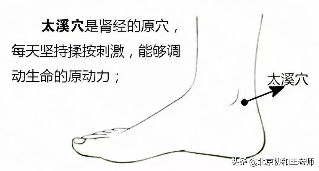 董氏奇穴治疗肾阳虚的穴位,穴位补肾阴虚