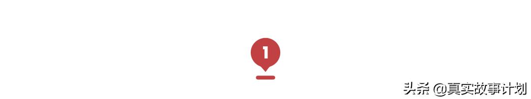 养猫真实故事,负债养猫的真实事例