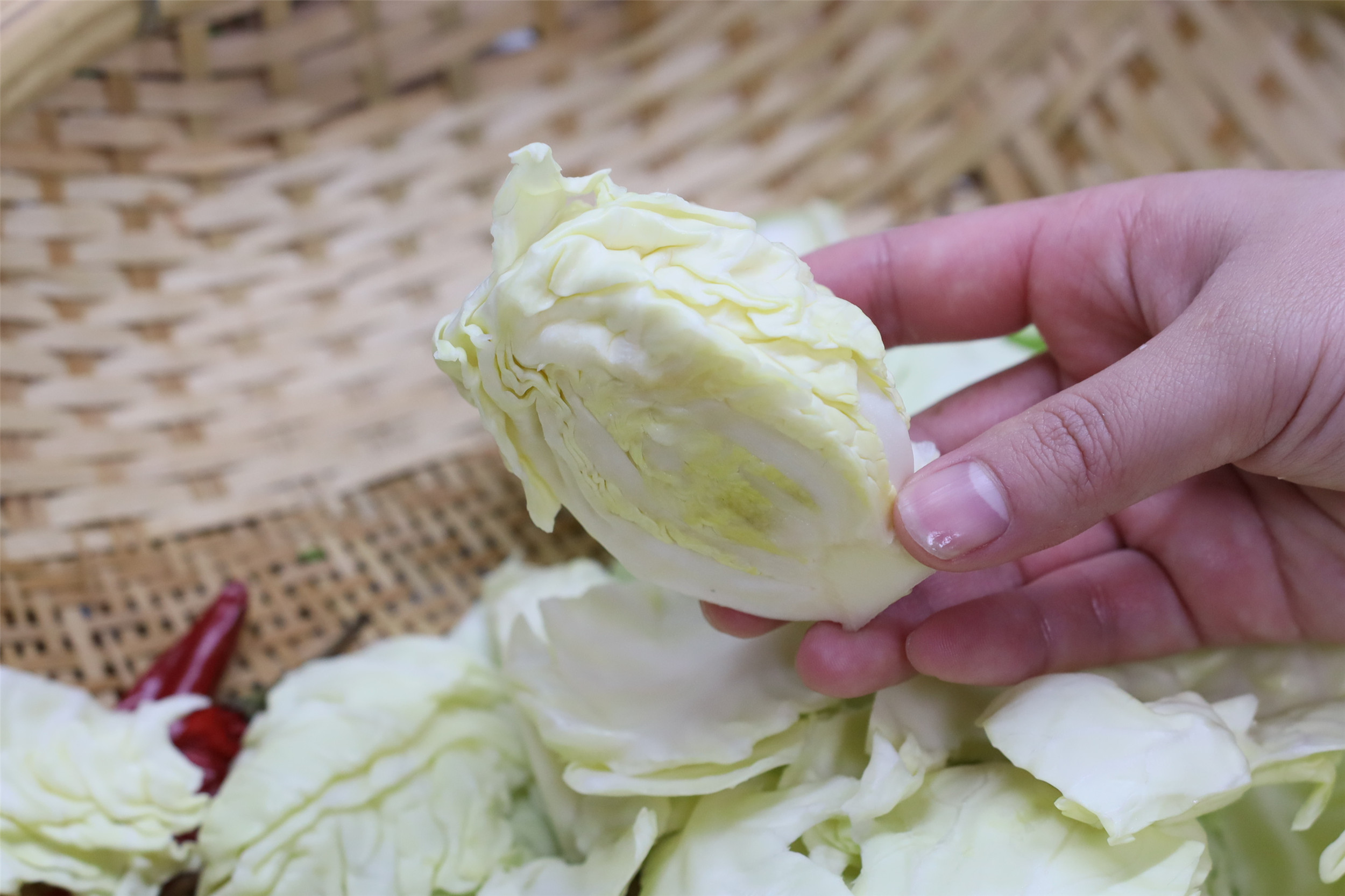 素炒手撕包菜加粉条,素炒手撕包菜不放辣椒