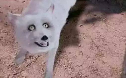 豆瓣评分9.3,4年后观众还在重刷,《琅琊榜》为何能够封神?