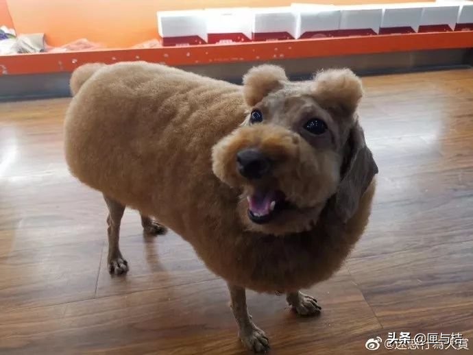 儿子心理有问题怎么办,儿子心理有毛病怎么办