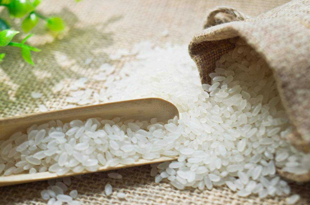 冷知识来了世界上脚最长的动物,科普知识世界上最大动物的脚