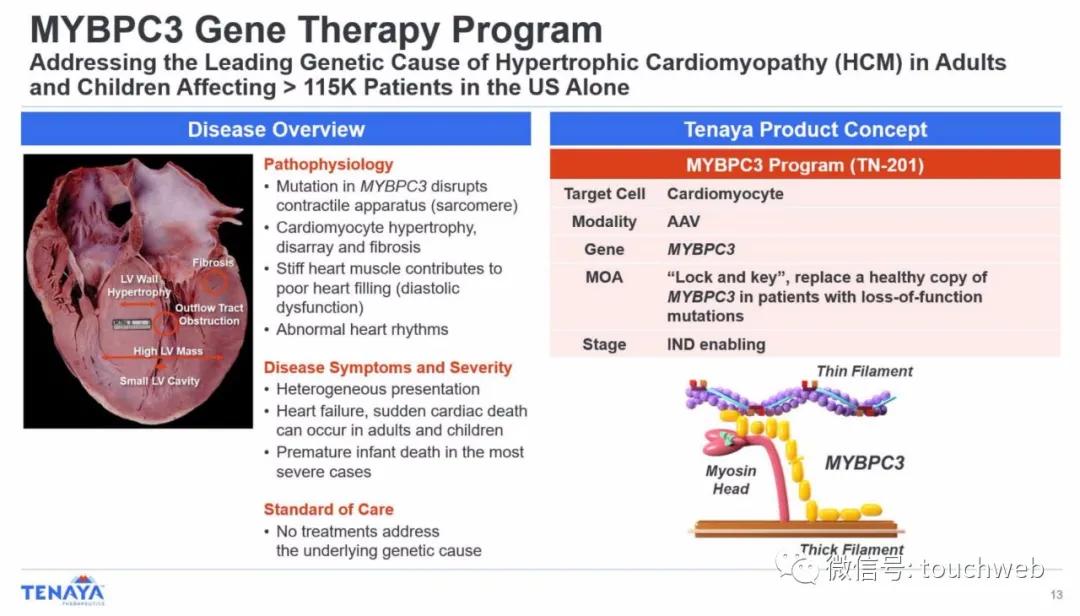 基因疗法相关上市公司,tenaris公司
