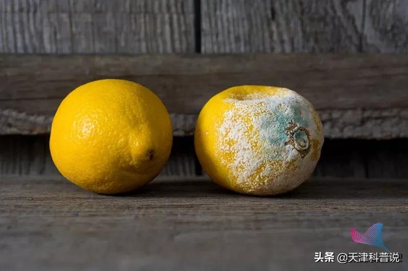 鱼身上的这个部位千万别吃油,鱼身上的哪个部位不能吃有毒