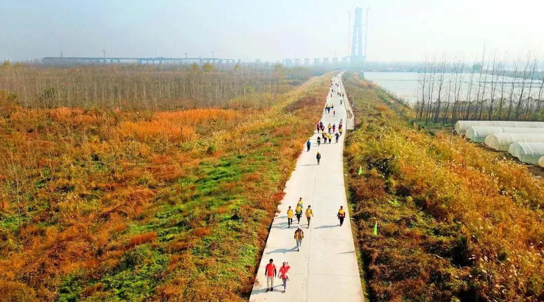 武汉最有人气的户外烧烤据点都在这了！赶紧打卡吧