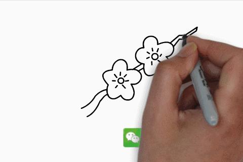 零基础教孩子画简笔画,适合新手的简笔100幅画