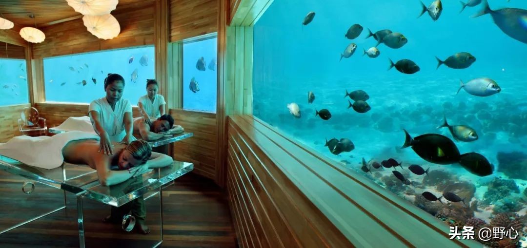 没能去马尔代夫旅游的原因,不会潜水去马尔代夫玩啥
