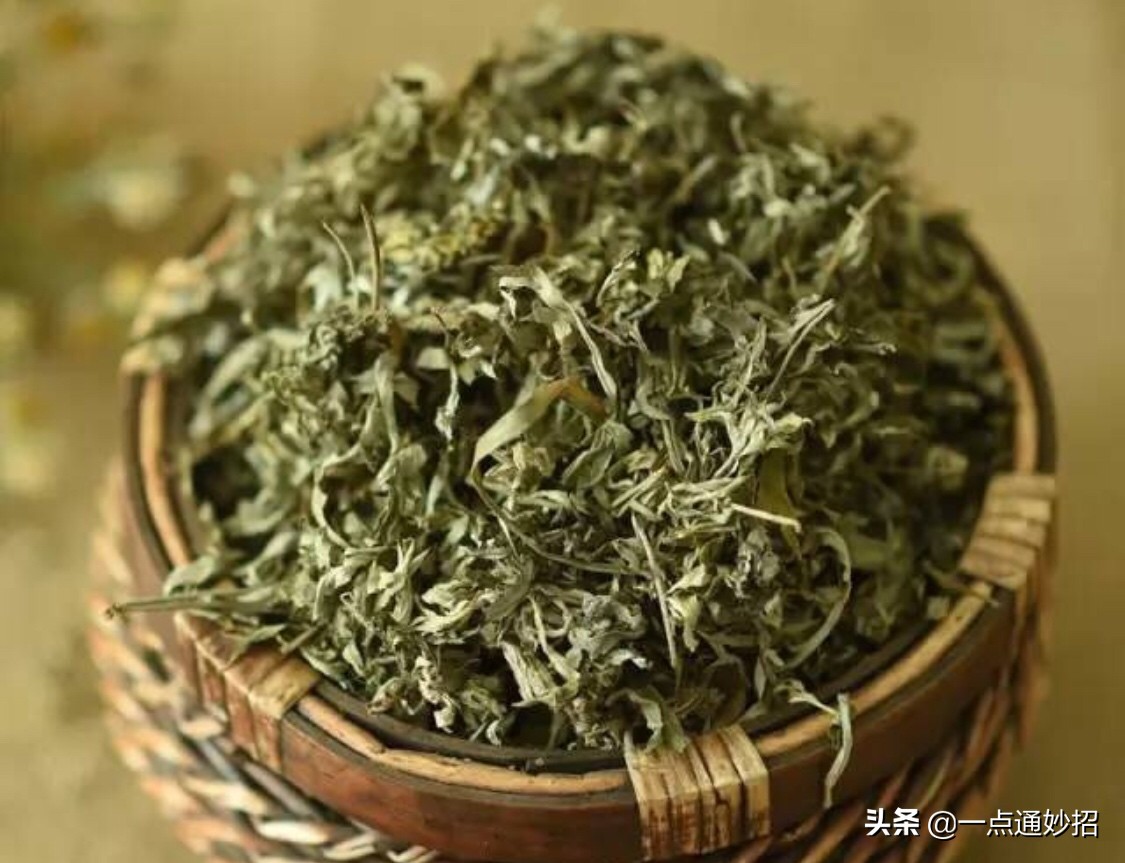 艾草烧了熏房间有什么作用,用艾草熏房间可以驱除哪些虫子