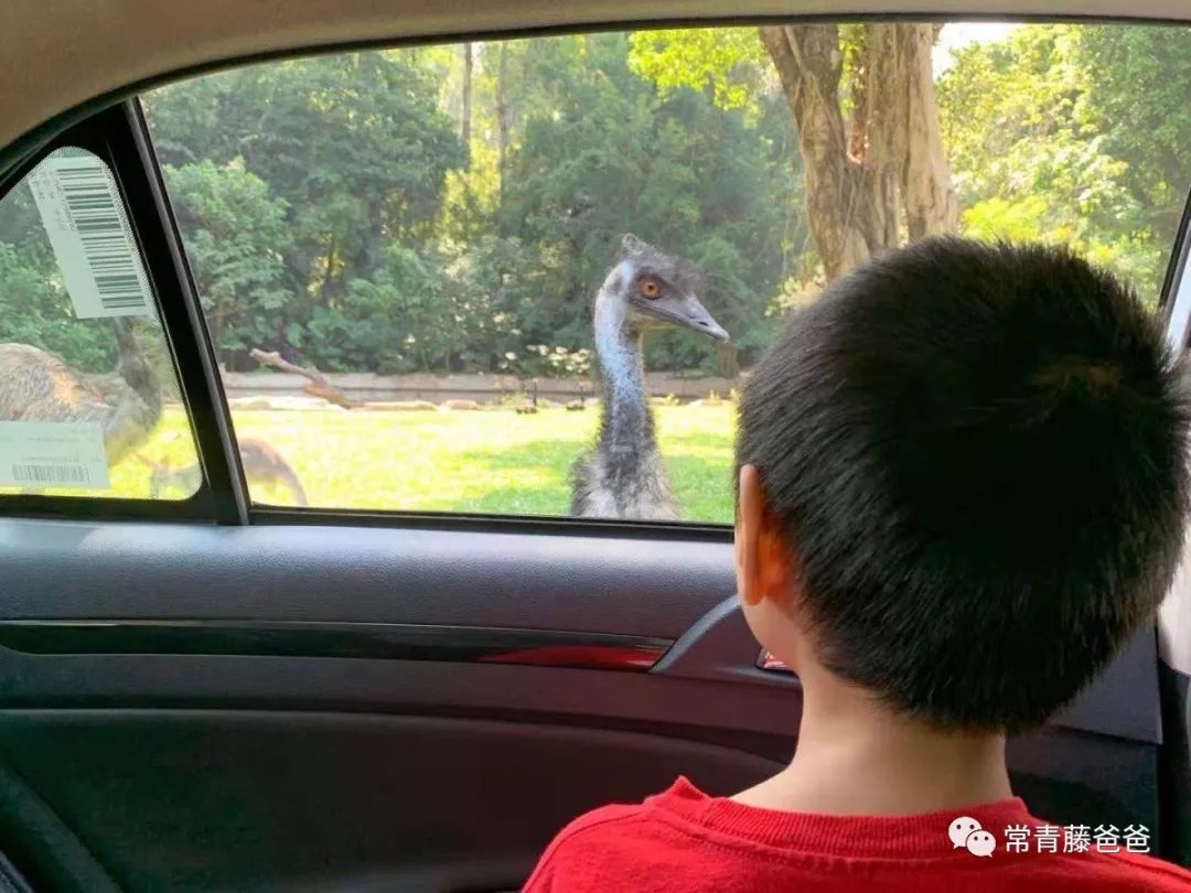 广州和珠海长隆一起玩攻略,广州珠海长隆旅游攻略5天四晚