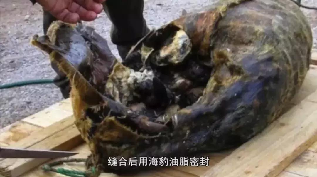 外国奇葩美食,外国最奇葩的美食