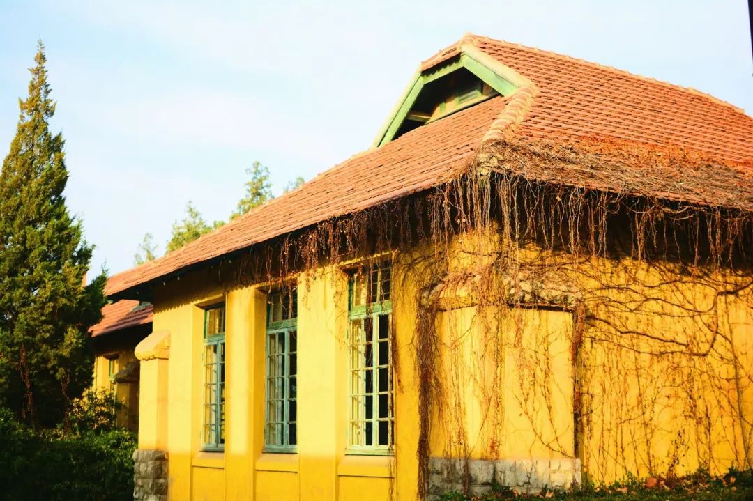 童话小镇在哪里,山东梦幻童话小镇在哪里