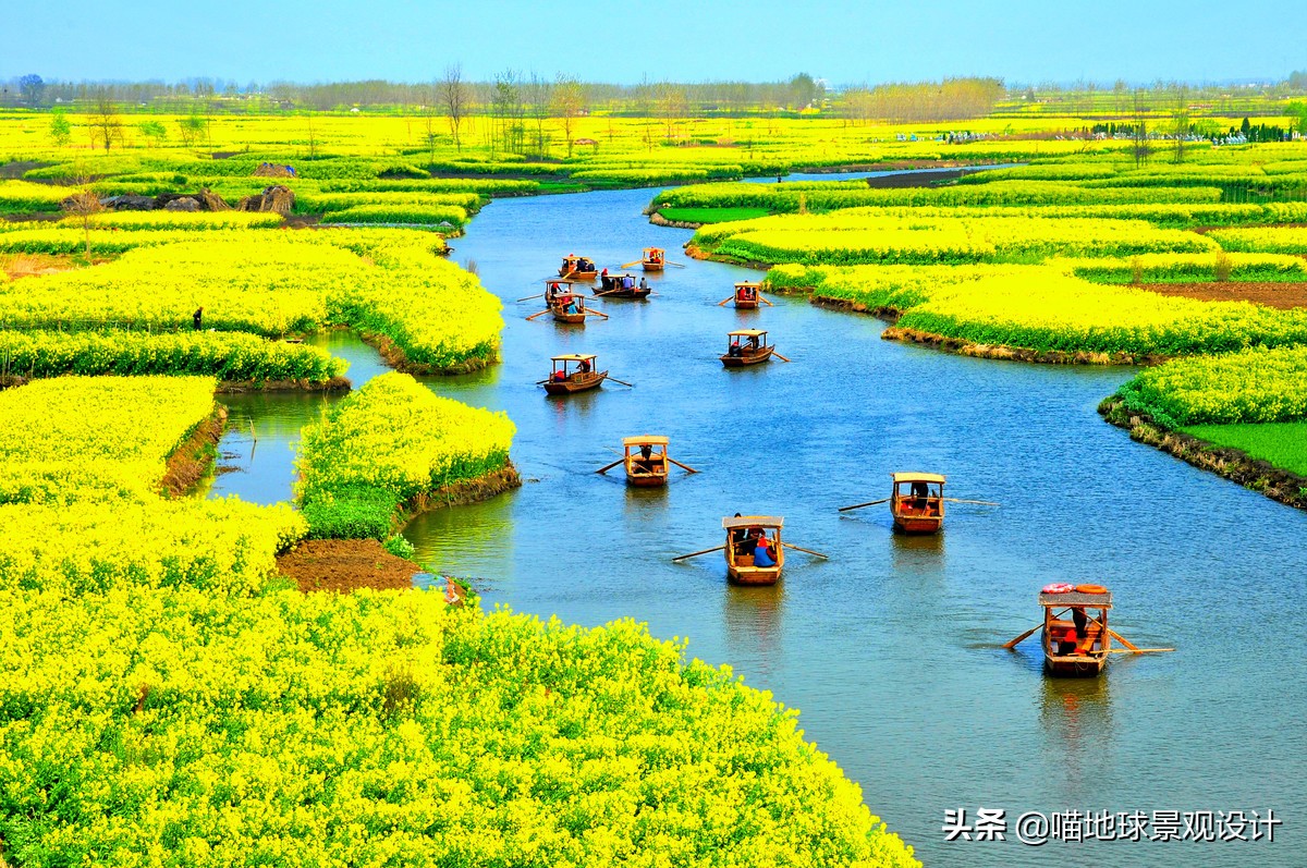 美丽乡村的盈利项目,美丽乡村项目的成功案例