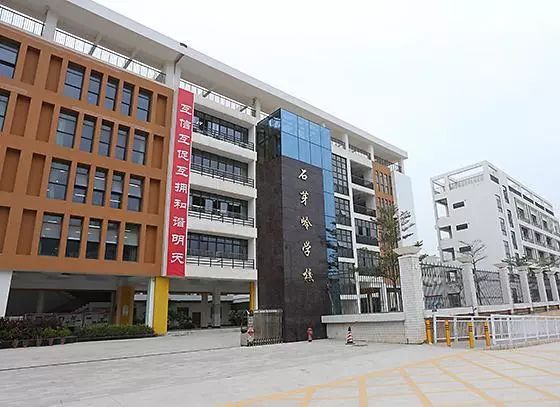 龙岗区私立小学排名前十,龙岗区小学质量排名一览表