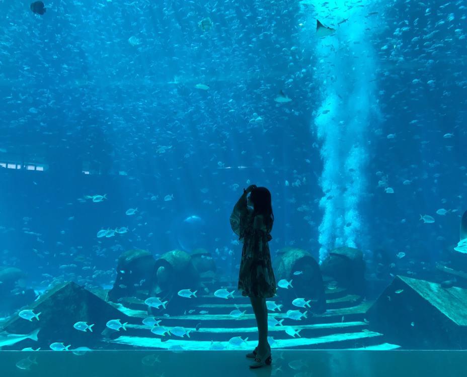 上九天揽月，下五洋捉鳖。看二孩老父亲如何带全家打卡亚特兰蒂斯