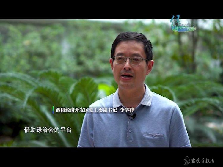 走进平原林海泗阳，一起感受辽阔壮美的泗阳之绿