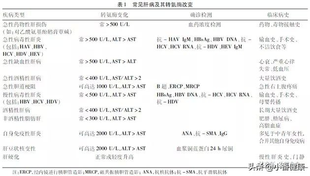 乙肝保肝治疗几天肝功能能恢复,乙肝吃药没效果